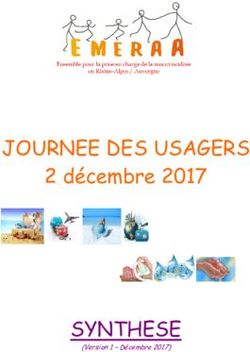 JOURNEE DES USAGERS - SYNTHESE - 2 d&eacute;cembre 2017 - (Version 1 - D&eacute;cembre 2017) - EMERAA