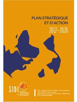 2017-2020 PLAN STRATÉGIQUE ET D'ACTION - SIDI