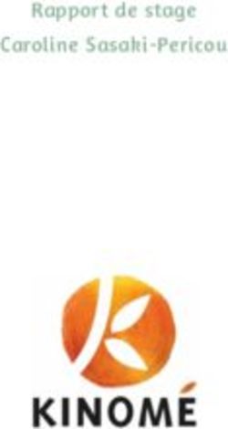 Rapport de stage Caroline Sasaki-Pericou