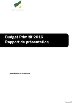 Budget Primitif 2016 Rapport de présentation - Ville de Mont ...