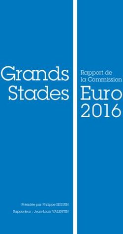 Grands Stades Euro 2016 - Rapport de la Commission - Olympique Lyonnais