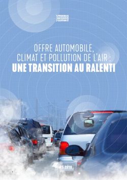 UNE TRANSITION AU RALENTI - CLIMAT ET POLLUTION DE L'AIR : OFFRE AUTOMOBILE, MARS 2019 - Réseau Action Climat