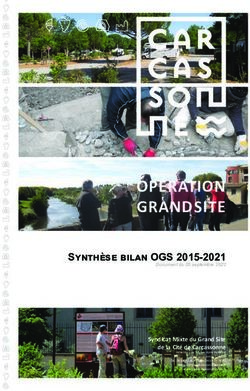 OPÉRATION GRAND SITE Synthèse bilan OGS 2015-2021 - Grand site Carcassonne