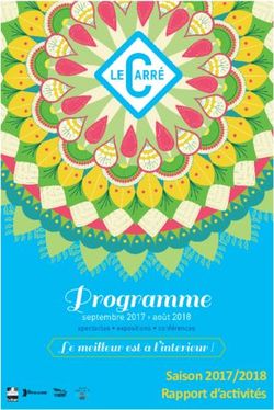 Saison 2017/2018 Rapport d'activités - Le Carre