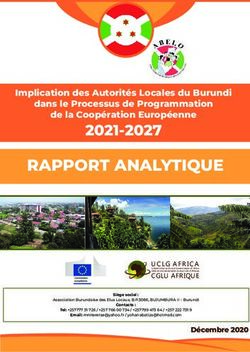 RAPPORT ANALYTIQUE 2021-2027 - Implication des Autorités Locales du Burundi dans le Processus de Programmation - CGLU Afrique/Hub des ...