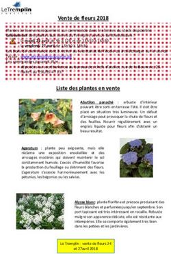 Vente de fleurs 2018 - Institut Le Tremplin Mouscron