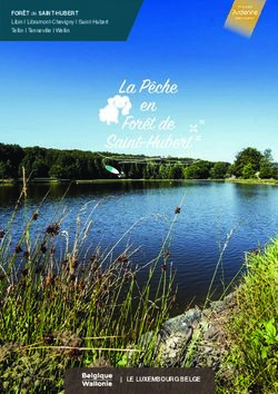 La P&ecirc;che For &ecirc;t de en Saint-Huber t - LE LUXEMBOURG BELGE - Saint-Hubert-Tourisme