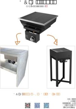 ONEQ FLAME - ONEQ SMART OUTDOOR COOKING - BUILT-IN GAS BARBECUE - oneQ B.V. Wyns 49 - one-q.com