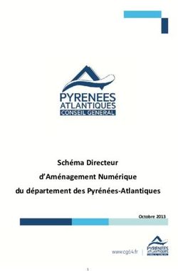 Schéma Directeur d'Aménagement Numérique du département des Pyrénées-Atlantiques - Octobre 2013