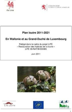 En Wallonie et au Grand-Duché de Luxembourg - Plan loutre 2011-2021 LIFE 05/NAT/B/000085 Rédigé dans le cadre du projet LIFE " Restauration des ...