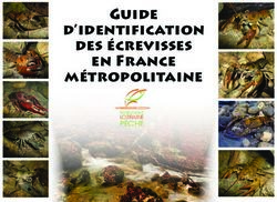 Guide d'identification des écrevisses en France métropolitaine - PÊCHE LORRAINE FÉDÉRATIONS