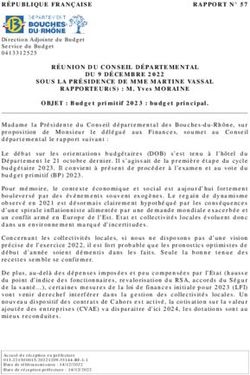R&Eacute;UNION DU CONSEIL D&Eacute;PARTEMENTAL DU 9 D&Eacute;CEMBRE2022 SOUS LAPR&Eacute;SIDENCEDE MME MARTINE VASSAL - departement13