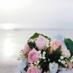 MARIAGES ET LUNES DE MIEL 2015-2016 - WHEELSUPNETWORK.COM