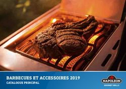 BARBECUES ET ACCESSOIRES 2019 - CATALOGUE PRINCIPAL - Pauly Andrianne