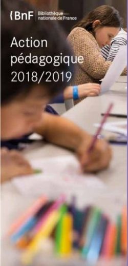 ACTION PÉDAGOGIQUE 2018/2019 - CLASSES BNF
