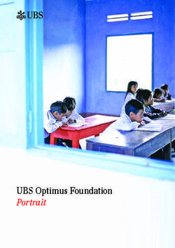 UBS Optimus Foundation Portrait - ab