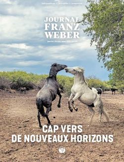 CAP VERS DE NOUVEAUX HORIZONS - FRANZ WEBER - Fondation Franz ...