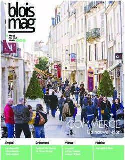 COMMERCE Un nouvel élan - Emploi - Ville de Blois