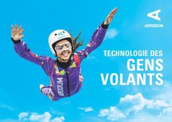 GENS VOLANTS TECHNOLOGIE DES - AERODIUM Technology