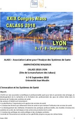 AMPHITH&Eacute;ATRE MALRAUX CALASS 2018 LYON - ALASS - Association Latine pour l'Analyse des Syst&egrave;mes de Sante - Cirrelt
