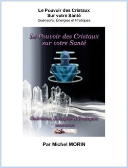 Par Michel MORIN - Le Pouvoir des Cristaux Sur votre Sant&eacute; Gu&eacute;risons, &Eacute;nergies et Pratiques - Echo Sant&eacute;