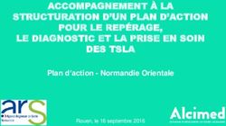 Plan d'action - Normandie Orientale - ACCOMPAGNEMENT À LA STRUCTURATION D'UN PLAN D'ACTION POUR LE REPÉRAGE, LE DIAGNOSTIC ET LA PRISE EN SOIN DES ...