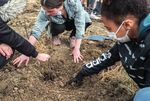 DES COLL&Egrave;GES &Eacute;CO-CON US - l'actu des coll&egrave;ges - Conseil d&eacute;partemental de la Haute-Garonne