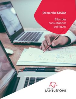 D&eacute;marche MADA Bilan des consultations publiques - Ville de ...