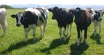 Offre d'aide financi&egrave;re - 2016-2017 R&Eacute;VISION MAI 2016 - Les r&eacute;seaux Agriconseils