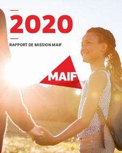 2020 RAPPORT DE MISSION MAIF
