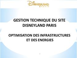 GESTION TECHNIQUE DU SITE DISNEYLAND PARIS - OPTIMISATION DES INFRASTRUCTURES ET DES ENERGIES