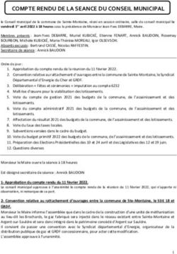 COMPTE RENDU DE LA SEANCE DU CONSEIL MUNICIPAL