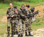 Les nouvelles du sea - Les officiers Dossier