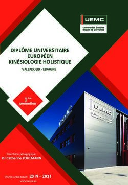 DIPLÔME UNIVERSITAIRE EUROPÉEN KINÉSIOLOGIE HOLISTIQUE - VALLADOLID - ESPAGNE 2019 2021
