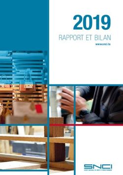 2019 RAPPORT ET BILAN - www.snci.lu - Soci&eacute;t&eacute; Nationale de Cr&eacute;dit et d ...