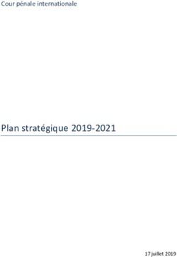 Plan strat&eacute;gique 2019-2021 - Cour p&eacute;nale internationale - 17 juillet 2019