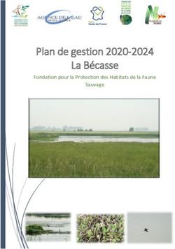 Plan de gestion 2020-2024 La B&eacute;casse - Fondation pour la Protection des Habitats de la Faune Sauvage - F&eacute;d&eacute;ration des ...