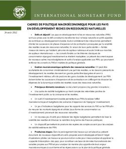 CADRES DE POLITIQUE MACRO&Eacute;CONOMIQUE POUR LES PAYS EN D&Eacute;VELOPPEMENT RICHES EN RESSOURCES NATURELLES