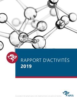 RAPPORT D'ACTIVITÉS 2019 - Association des pharmaciens des établissements de santé du Québec - APES