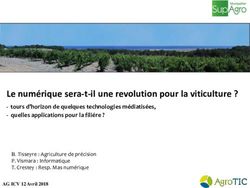 Le numérique sera-t-il une revolution pour la viticulture ?