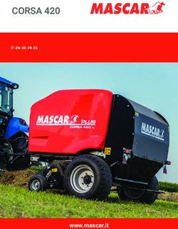 CORSA 420 - WWW.MASCAR.IT - MASCAR SPA
