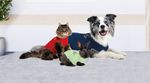 PRODUITS DE PROTECTION POUR LES ANIMAUX ! - MEDICAL PET SHIRTS