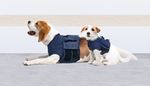 PRODUITS DE PROTECTION POUR LES ANIMAUX ! - MEDICAL PET SHIRTS