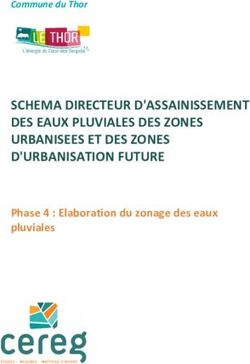 SCHEMA DIRECTEUR D'ASSAINISSEMENT DES EAUX PLUVIALES DES ZONES URBANISEES ET DES ZONES D'URBANISATION FUTURE - Phase 4 : Elaboration du zonage des ...