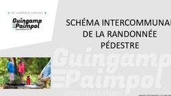 SCH&Eacute;MA INTERCOMMUNAL DE LA RANDONN&Eacute;E P&Eacute;DESTRE