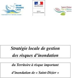 Stratégie locale de gestion des risques d'inondation - du Territoire à risque important d'inondation de " Saint-Dizier "