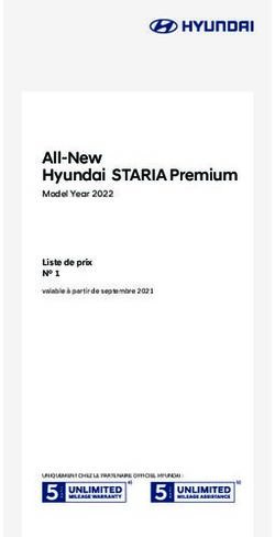 All-New Hyundai STARIA Premium - Garage du Stade