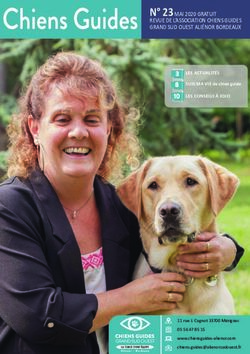 N 23 MAI 2020 GRATUIT - REVUE DE L'ASSOCIATION CHIENS GUIDES GRAND SUD OUEST ALIÉNOR BORDEAUX