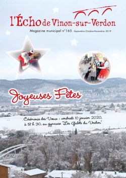 Joyeuses Fêtes - l'Écho de Vinon-sur-Verdon - Cérémonie des Voeux : vendredi 10 janvier 2020, à 18 h 30, au gymnase "Les Galets du Verdon"