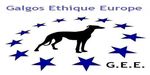 ASSEMBLES GENERALES 3 JUILLET 2018 - Galgos Ethique Europe